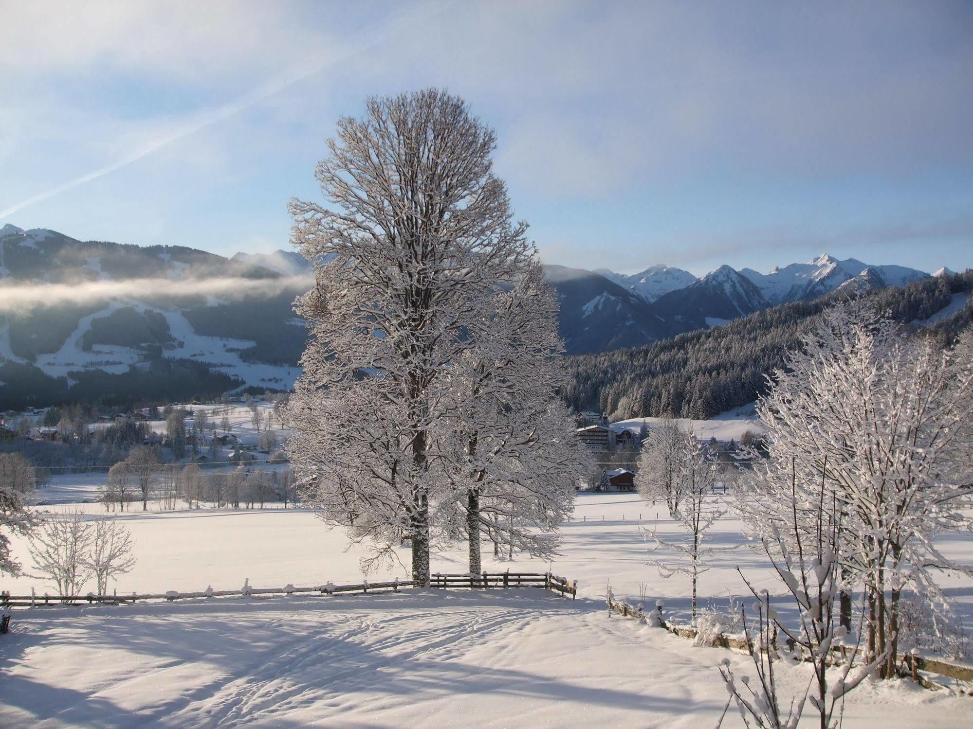 Pension Dachsteinhof Ramsau am Dachstein Zewnętrze zdjęcie